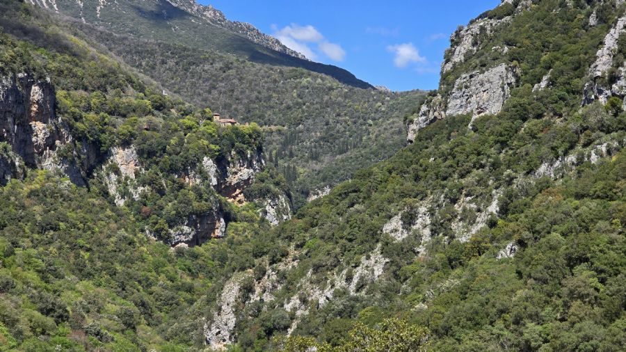 טרק המנליון